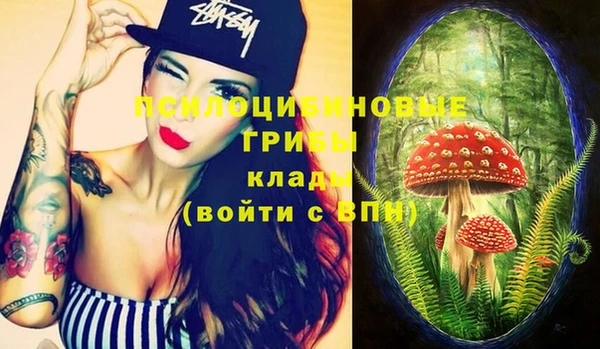 PSILOCYBIN Верея