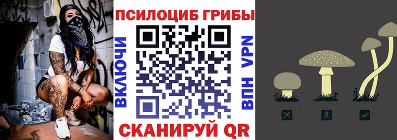 blacksprut зеркало Люберцы Псилоцибиновые грибы мицелий